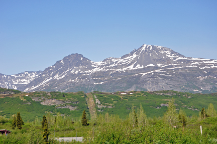 trees and mountain & the road