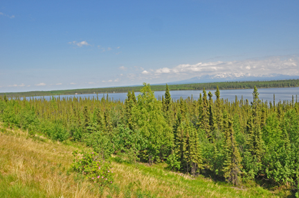 mountain and  Willow Lake