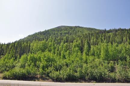 across from Willow Lake