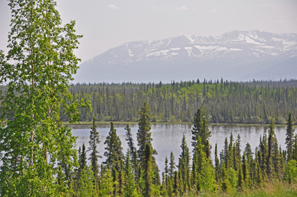 mountain and  Willow Lake