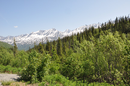 another beautiful scenic area along the highway