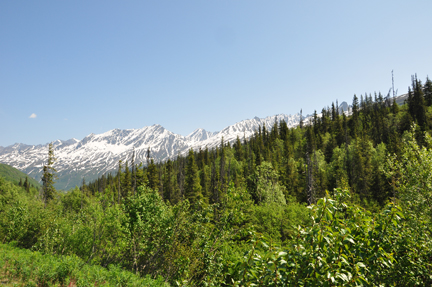 another beautiful scenic area along the highway
