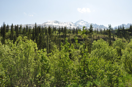 another beautiful scenic area along the highway