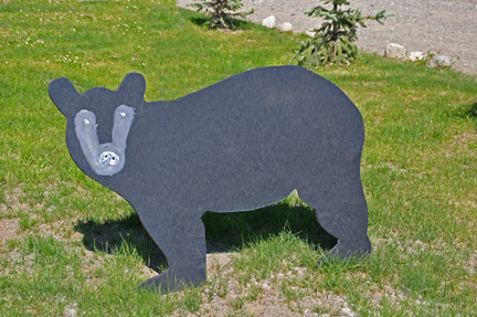 bear