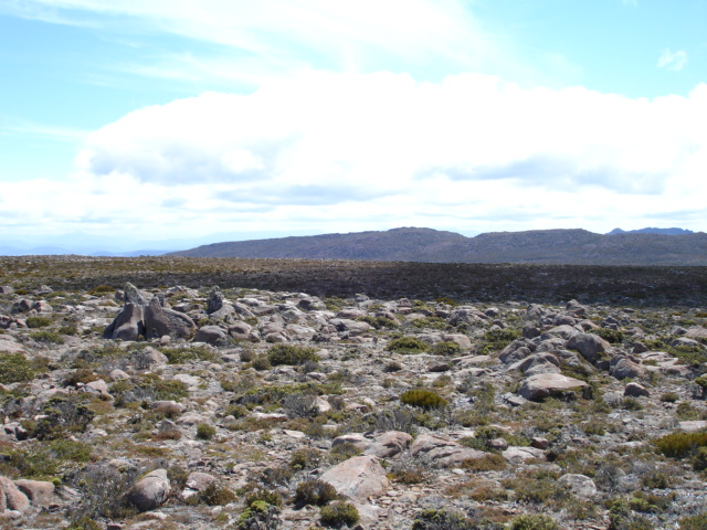 Mount Wellington