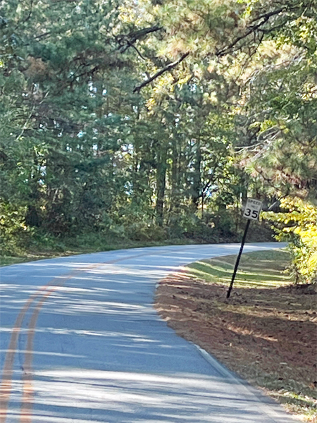 The nice road into the campground
