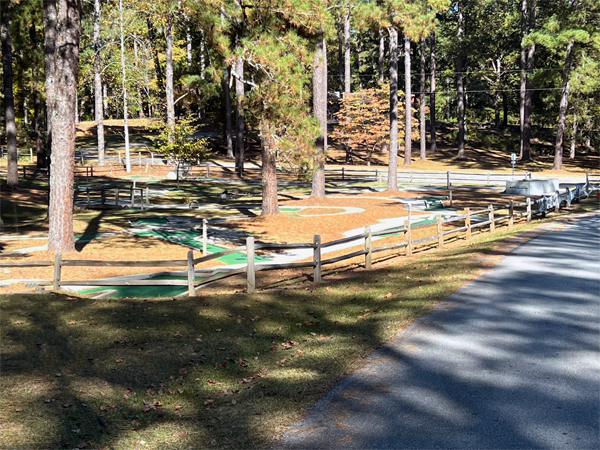 Miniature golf