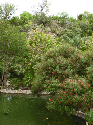 Japanese Sunken Gardens / Chinese Tea Gardens