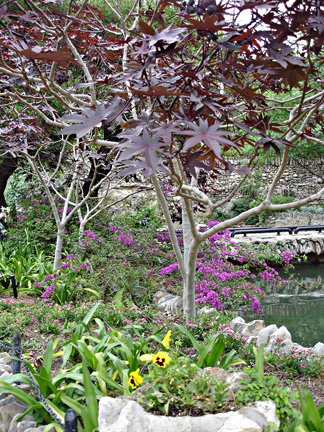 gardens