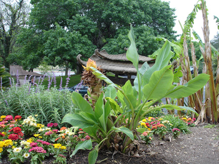 gardens