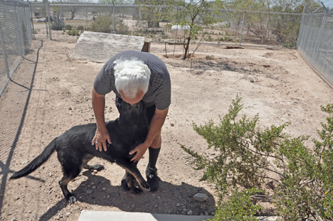 Lee petting a wolf