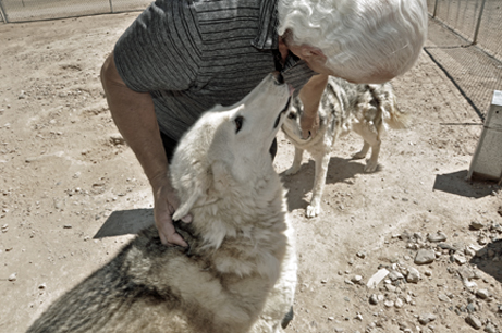 Lee gets a kiss and a sniff 
