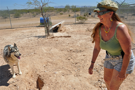 Karen Duquette and a wolf