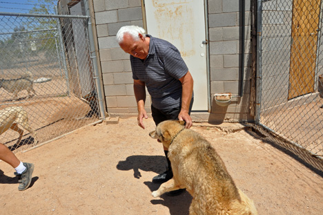 Lee Duquette and a wolf