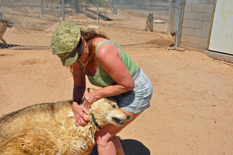 Karen Duquette and a wolf