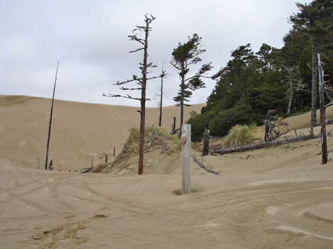 sand dunes