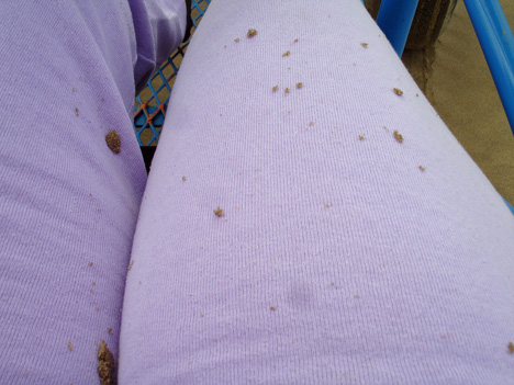 sand on Karen's clothes