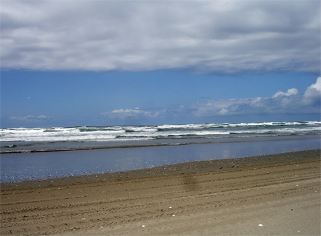 the beach and ocean