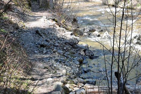 the trail