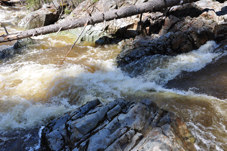 the chutes
