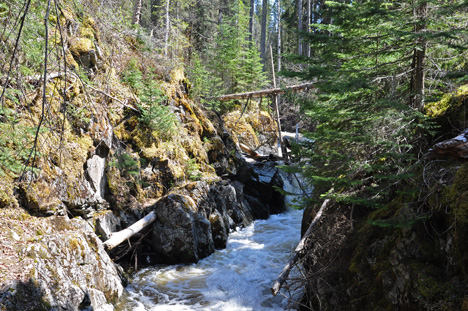 the chutes